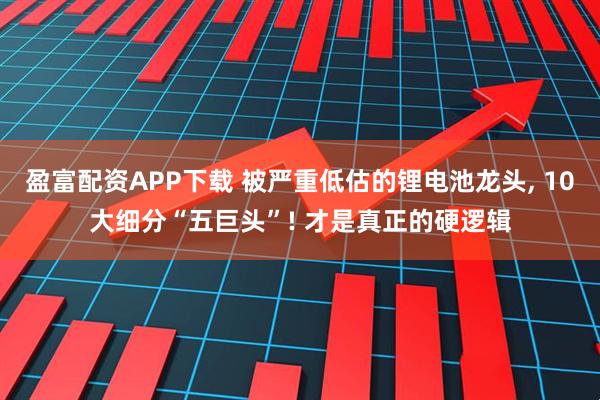 盈富配资APP下载 被严重低估的锂电池龙头, 10大细分“五巨头”! 才是真正的硬逻辑