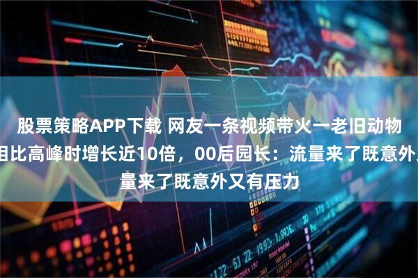 股票策略APP下载 网友一条视频带火一老旧动物园 游客相比高峰时增长近10倍，00后园长：流量来了既意外又有压力