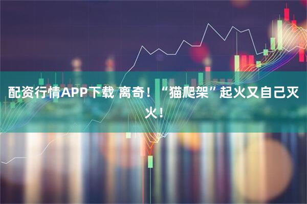 配资行情APP下载 离奇！“猫爬架”起火又自己灭火！