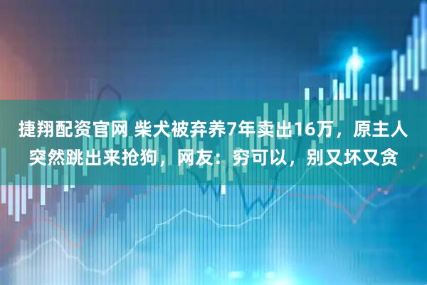 捷翔配资官网 柴犬被弃养7年卖出16万，原主人突然跳出来抢狗，网友：穷可以，别又坏又贪